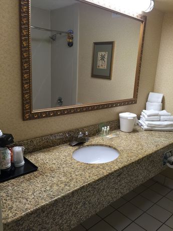 Imagen de la habitación del Hotel Holiday Inn Lumberton, an IHG. Foto 12