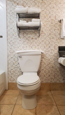 Imagen de la habitación del Hotel Holiday Inn Martinsburg, an IHG. Foto 15