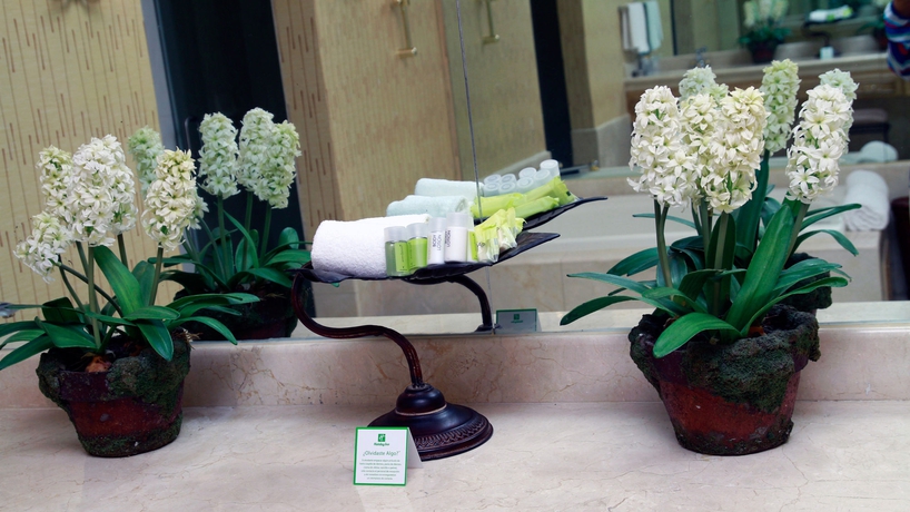 Imagen de la habitación del Hotel Holiday Inn Matamoros, An Ihg. Foto 7