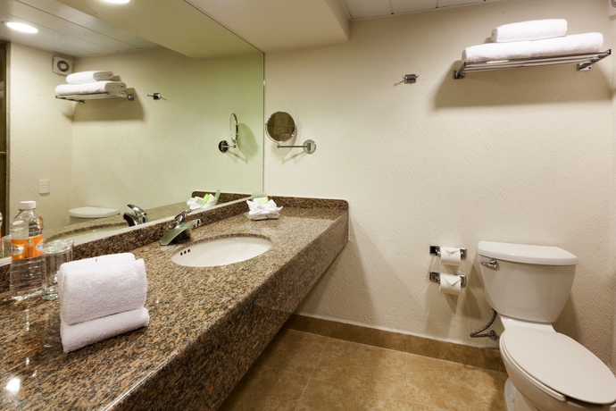 Imagen de la habitación del Hotel Holiday Inn Mexico Coyoacan. Foto 8