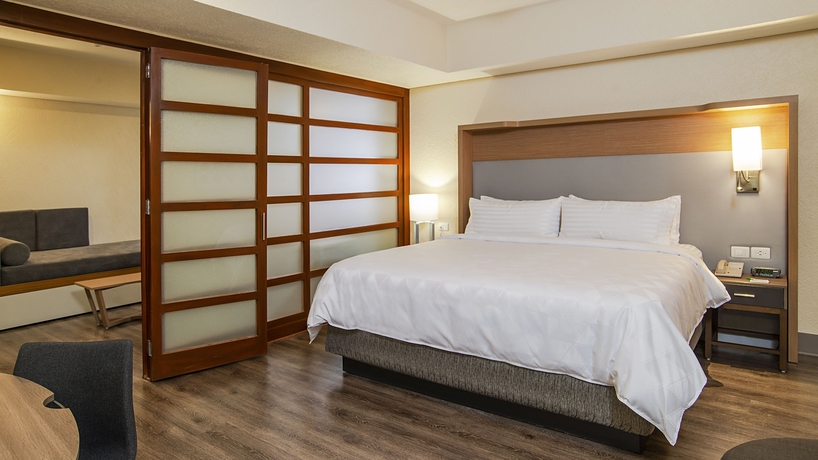 Imagen de la habitación del Hotel Holiday Inn Mexico Coyoacan. Foto 17