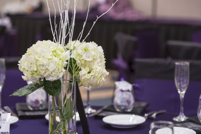 Imagen de los interiores del Hotel Holiday Inn Miami West - Airport Area, An Ihg. Foto 14