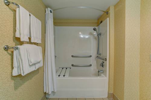 Imagen de la habitación del Hotel Holiday Inn Milwaukee Airport. Foto 5