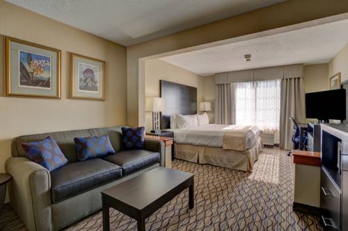 Imagen de la habitación del Hotel Holiday Inn Milwaukee Airport. Foto 6