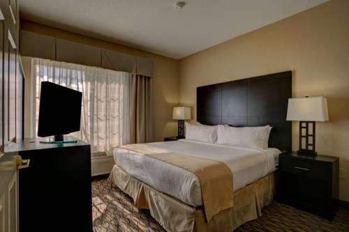 Imagen de la habitación del Hotel Holiday Inn Milwaukee Airport. Foto 8