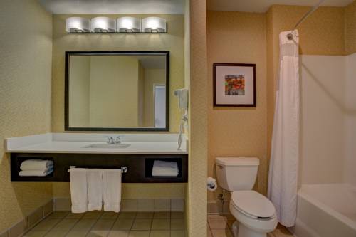 Imagen de la habitación del Hotel Holiday Inn Milwaukee Airport. Foto 9