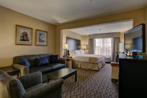 Imagen de la habitación del Hotel Holiday Inn Milwaukee Airport. Foto 11