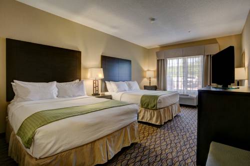 Imagen de la habitación del Hotel Holiday Inn Milwaukee Airport. Foto 13