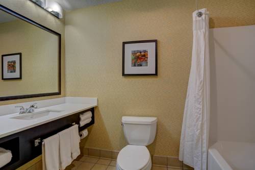 Imagen de la habitación del Hotel Holiday Inn Milwaukee Airport. Foto 15