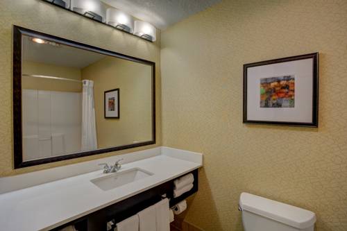Imagen de la habitación del Hotel Holiday Inn Milwaukee Airport. Foto 16