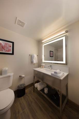 Imagen de la habitación del Hotel Holiday Inn Milwaukee Brookfield, an IHG. Foto 11