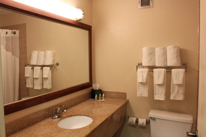 Imagen de la habitación del Hotel Holiday Inn Mobile West I-10, An Ihg. Foto 4