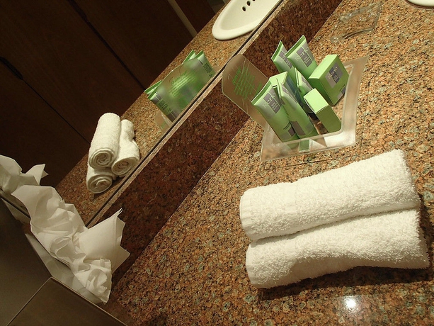 Imagen de la habitación del Hotel Holiday Inn Montevideo, An Ihg. Foto 3