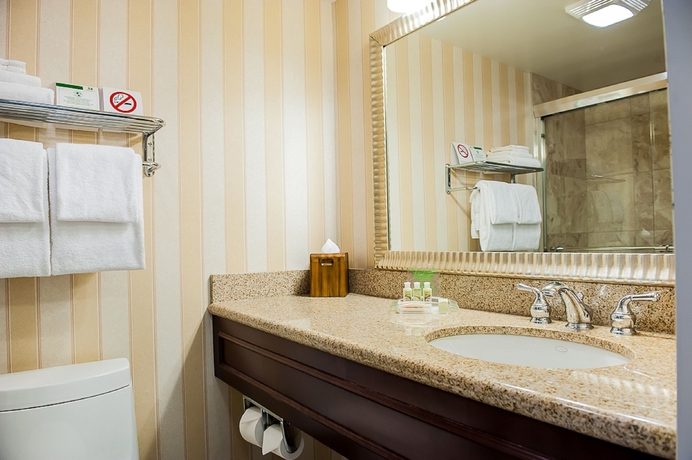 Imagen de la habitación del Hotel Holiday Inn Montreal Longueuil, An Ihg. Foto 4