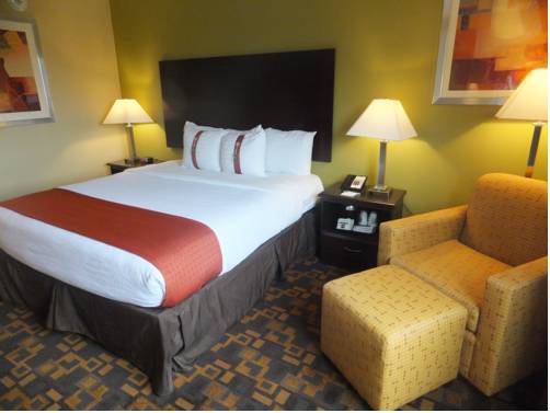 Imagen de la habitación del Hotel Holiday Inn Mount Prospect-chicago. Foto 2