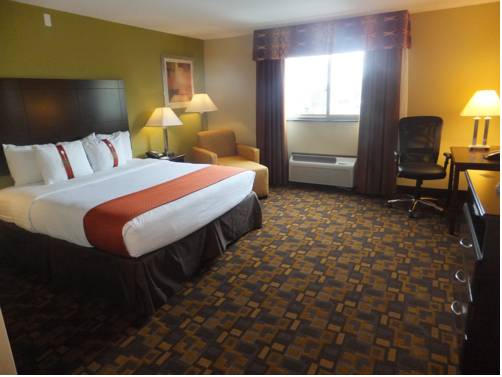 Imagen de la habitación del Hotel Holiday Inn Mount Prospect-chicago. Foto 3