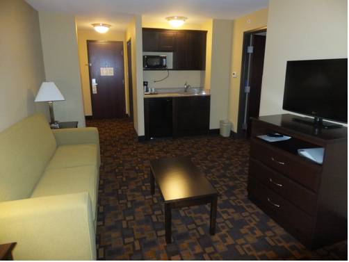 Imagen de la habitación del Hotel Holiday Inn Mount Prospect-chicago. Foto 5