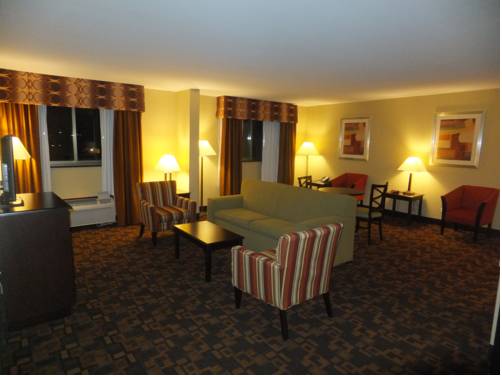 Imagen de la habitación del Hotel Holiday Inn Mount Prospect-chicago. Foto 6