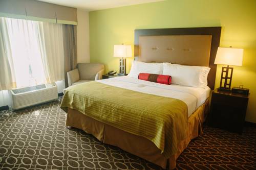 Imagen de la habitación del Hotel Holiday Inn Murfreesboro/nashville. Foto 3