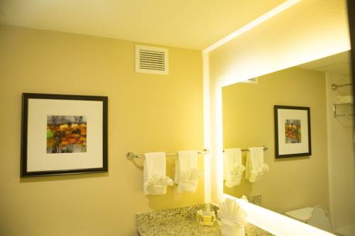 Imagen de la habitación del Hotel Holiday Inn Murfreesboro/nashville. Foto 6