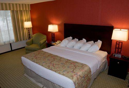 Imagen de la habitación del Hotel Holiday Inn Nashua. Foto 5