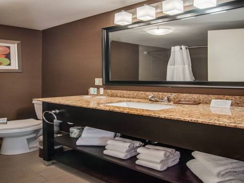 Imagen de la habitación del Hotel Holiday Inn Nashville Downtown - Stadium. Foto 4