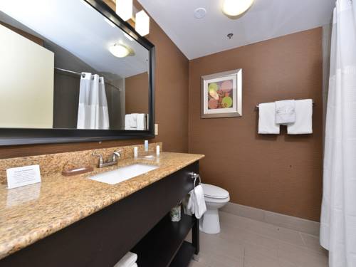 Imagen de la habitación del Hotel Holiday Inn Nashville Downtown - Stadium. Foto 6