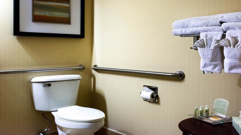 Imagen de la habitación del Hotel Holiday Inn Niagara Falls Scenic Downtown. Foto 5