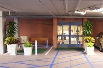 Imagen general del Hotel Holiday Inn Oceanside Camp Pendleton Area, An Ihg. Foto 7