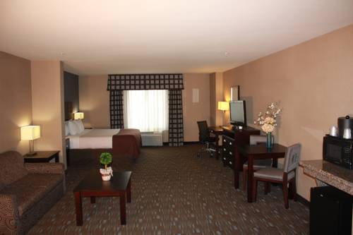 Imagen de la habitación del Hotel Holiday Inn Ontario Airport - California. Foto 6