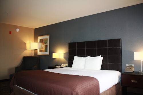 Imagen de la habitación del Hotel Holiday Inn Ontario Airport - California. Foto 9