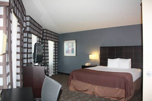 Imagen de la habitación del Hotel Holiday Inn Ontario Airport - California. Foto 12