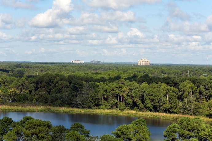 Imagen general del Hotel Holiday Inn Orlando - Disney Springs® Area, An Ihg. Foto 2