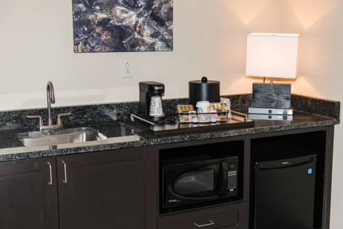 Imagen de la habitación del Hotel Holiday Inn Paducah Riverfront, An Ihg. Foto 3