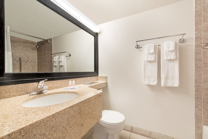 Imagen de la habitación del Hotel Holiday Inn Philadelphia Arpt-Stadium Area, an IHG. Foto 13