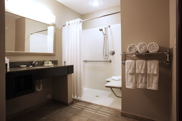 Imagen de la habitación del Hotel Holiday Inn Phoenix - Chandler, An Ihg. Foto 5