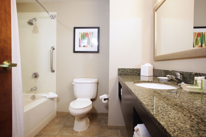 Imagen de la habitación del Hotel Holiday Inn Phoenix - Chandler, An Ihg. Foto 7