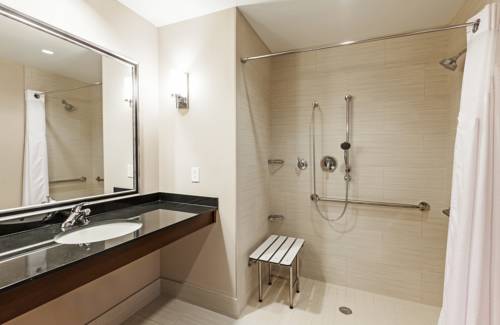 Imagen de la habitación del Hotel Holiday Inn Plano-the Colony. Foto 6