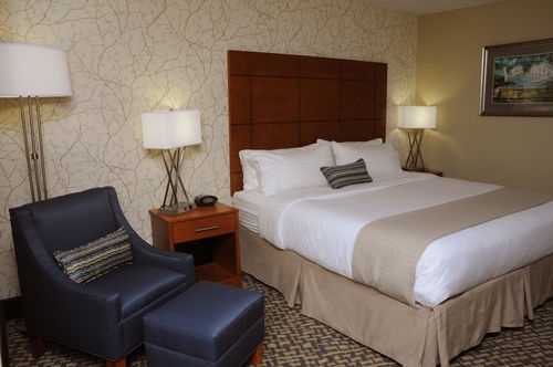 Imagen de la habitación del Hotel Holiday Inn Raleigh Downtown - Capital, An Ihg. Foto 4