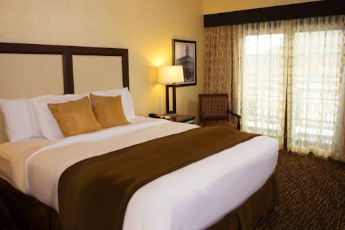 Imagen de la habitación del Hotel Holiday Inn Resort Deadwood Mountain Grand. Foto 9