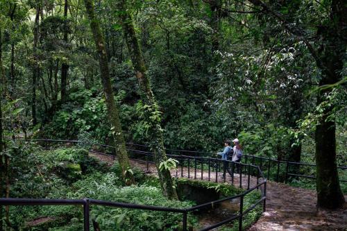 Imagen general del Hotel Holiday Inn Resort Kathmandu Budhanilkantha by IHG. Foto 6