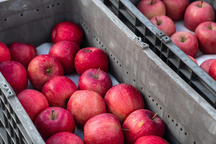 Imagen de la habitación del Hotel Holiday Inn Resort Kuroyon, An Ihg. Foto 4