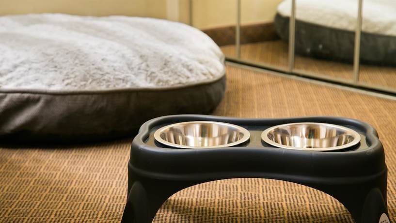 Imagen de la habitación del Hotel Holiday Inn Resort The Squire at Grand Canyon by IHG. Foto 9