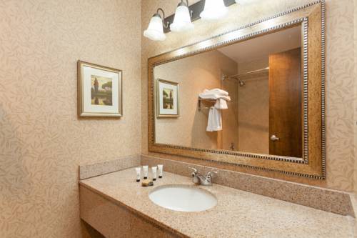 Imagen de la habitación del Hotel Holiday Inn Richland On The River, An Ihg. Foto 3