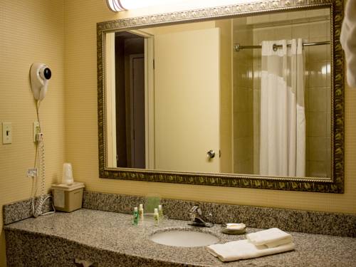 Imagen de la habitación del Hotel Holiday Inn Roanoke - Valley View. Foto 12