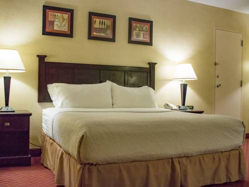 Imagen de la habitación del Hotel Holiday Inn Roanoke - Valley View. Foto 13