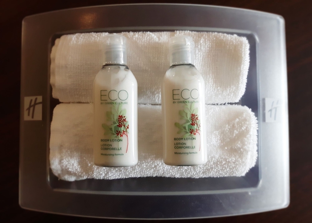 Imagen de la habitación del Hotel Holiday Inn Salzburg City, An Ihg. Foto 8