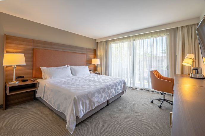 Imagen de la habitación del Hotel Holiday Inn San Jose La Sabana by IHG. Foto 3