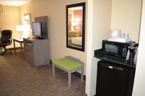 Imagen de la habitación del Hotel Holiday Inn Santee, An Ihg. Foto 1