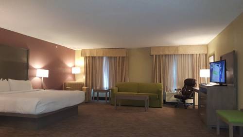 Imagen de la habitación del Hotel Holiday Inn Santee, An Ihg. Foto 5